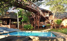 Bona Ngwenya Lodge & Safaris